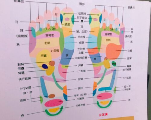 ブルーハンズ