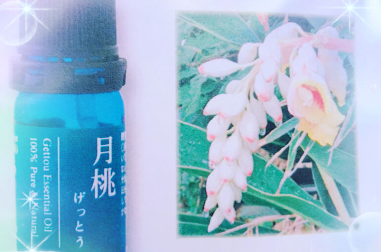 ブルーハンズ