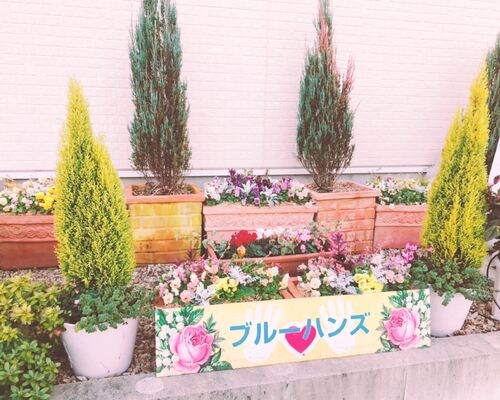 ブルーハンズ