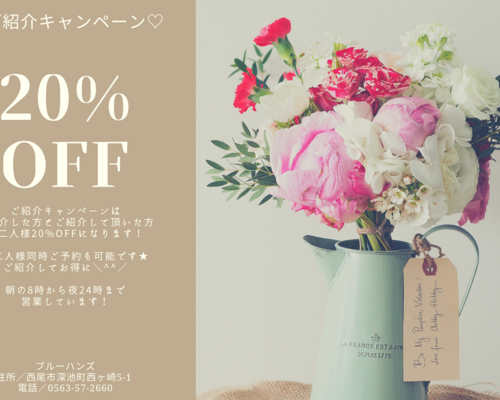 ブルーハンズ
