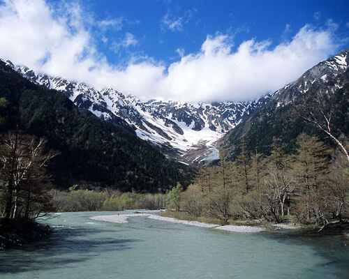 Nature3