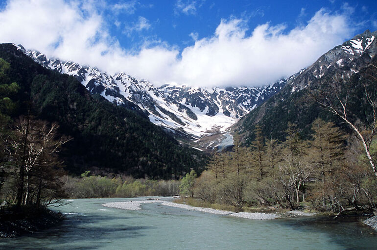 Nature3