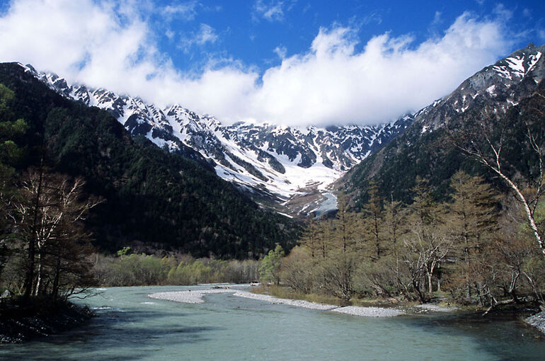 Nature3