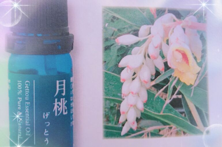image_6483441